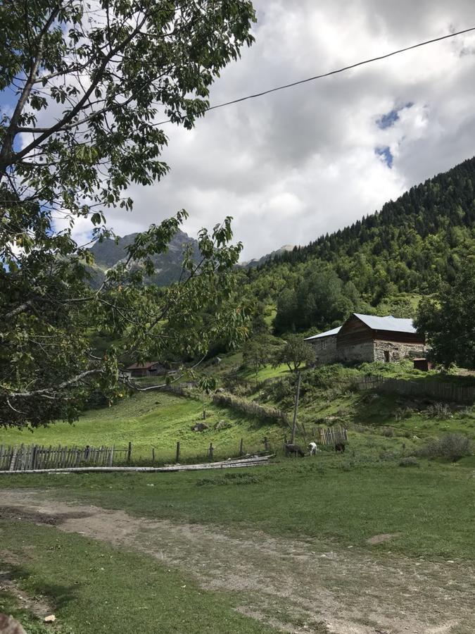 Zhabeshi Givi Kakhiani'S Guesthouse المظهر الخارجي الصورة